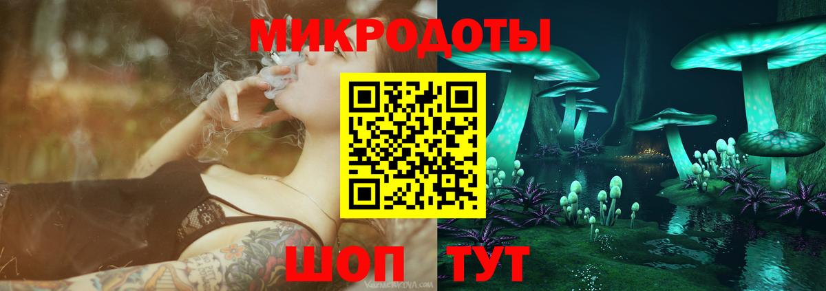 Галлюциногенные грибы Psilocybe Старая Купавна